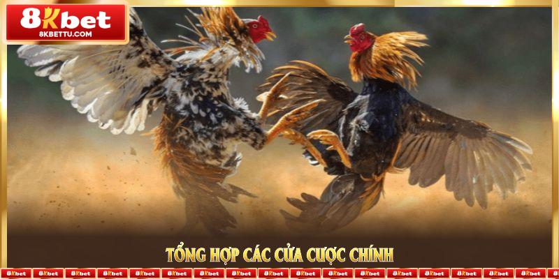 Tổng hợp các cửa cược chính trong Đá Gà 8KBET